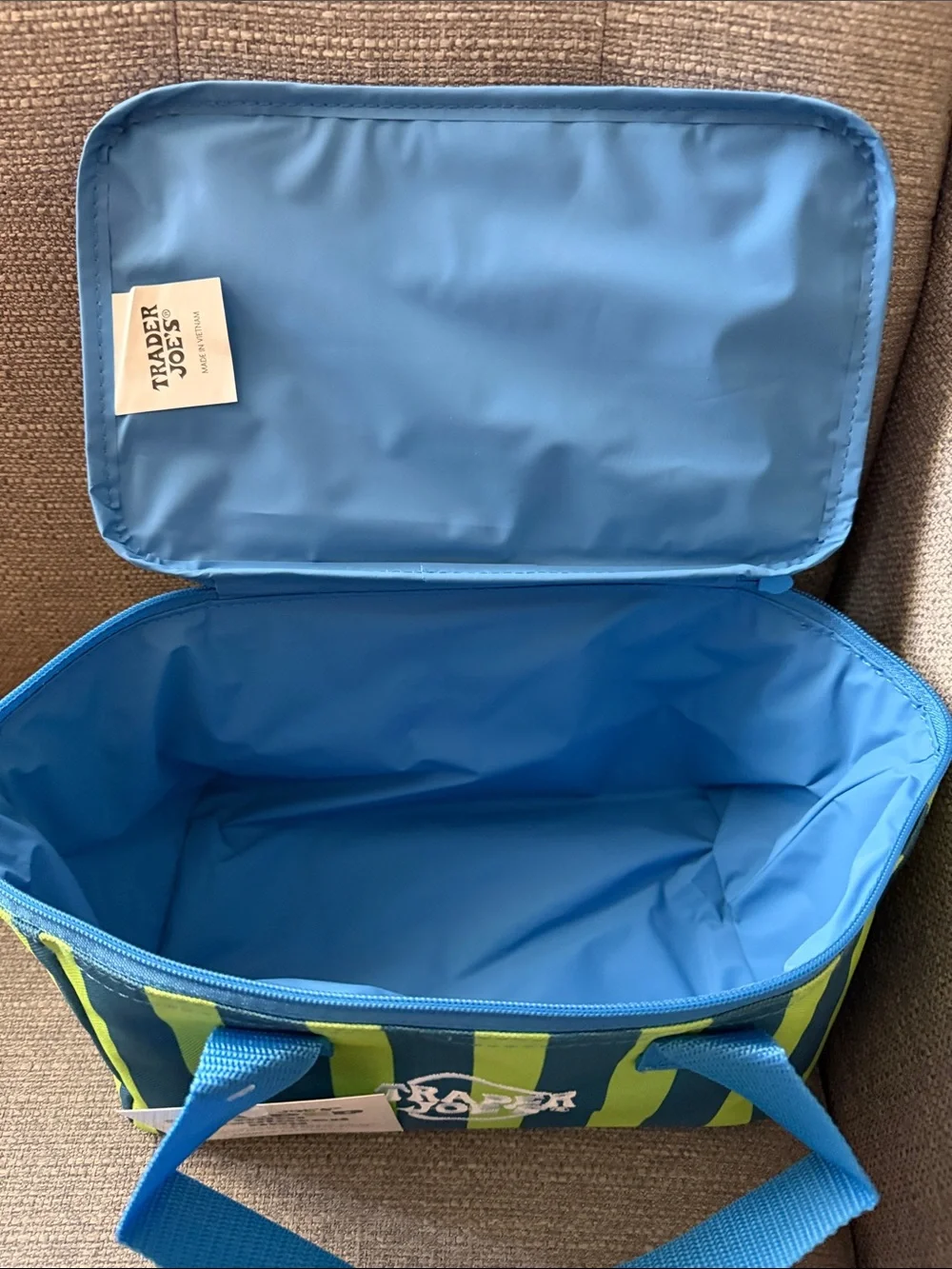 Striped Mini Insulated Bag in Blue & Green